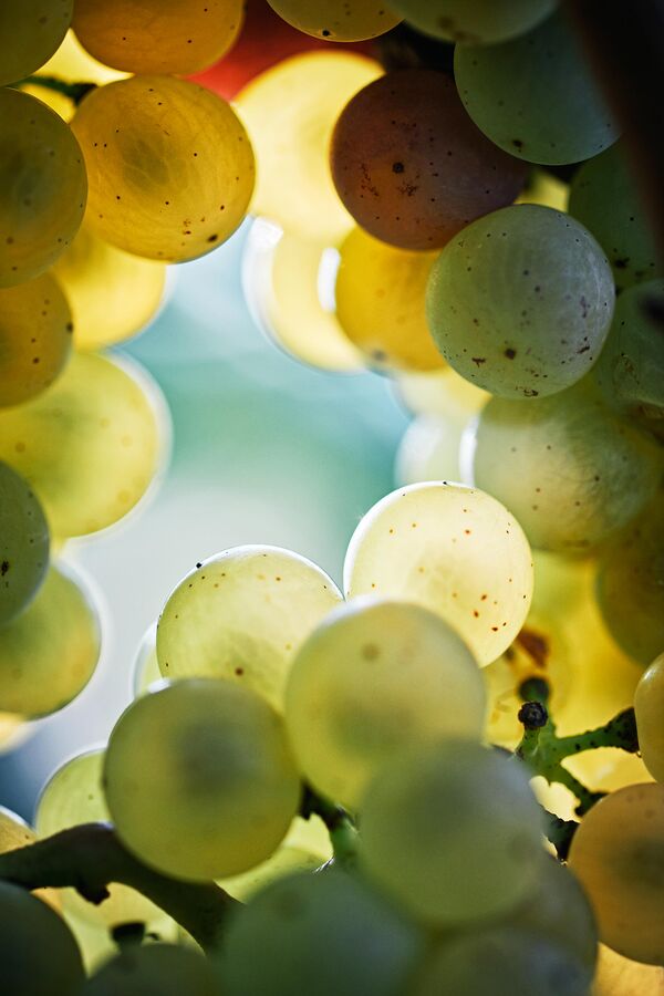 SCHW_Reportage_003_046_rgb