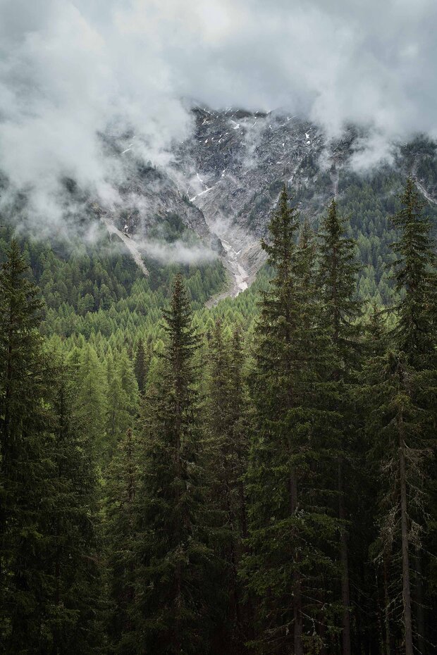 WALD_02_Mustair_0806_rgb