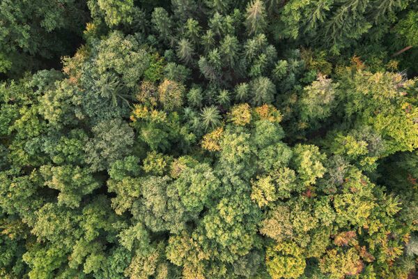 TRAN_Hoelstein_Drohnen_0062_rgb