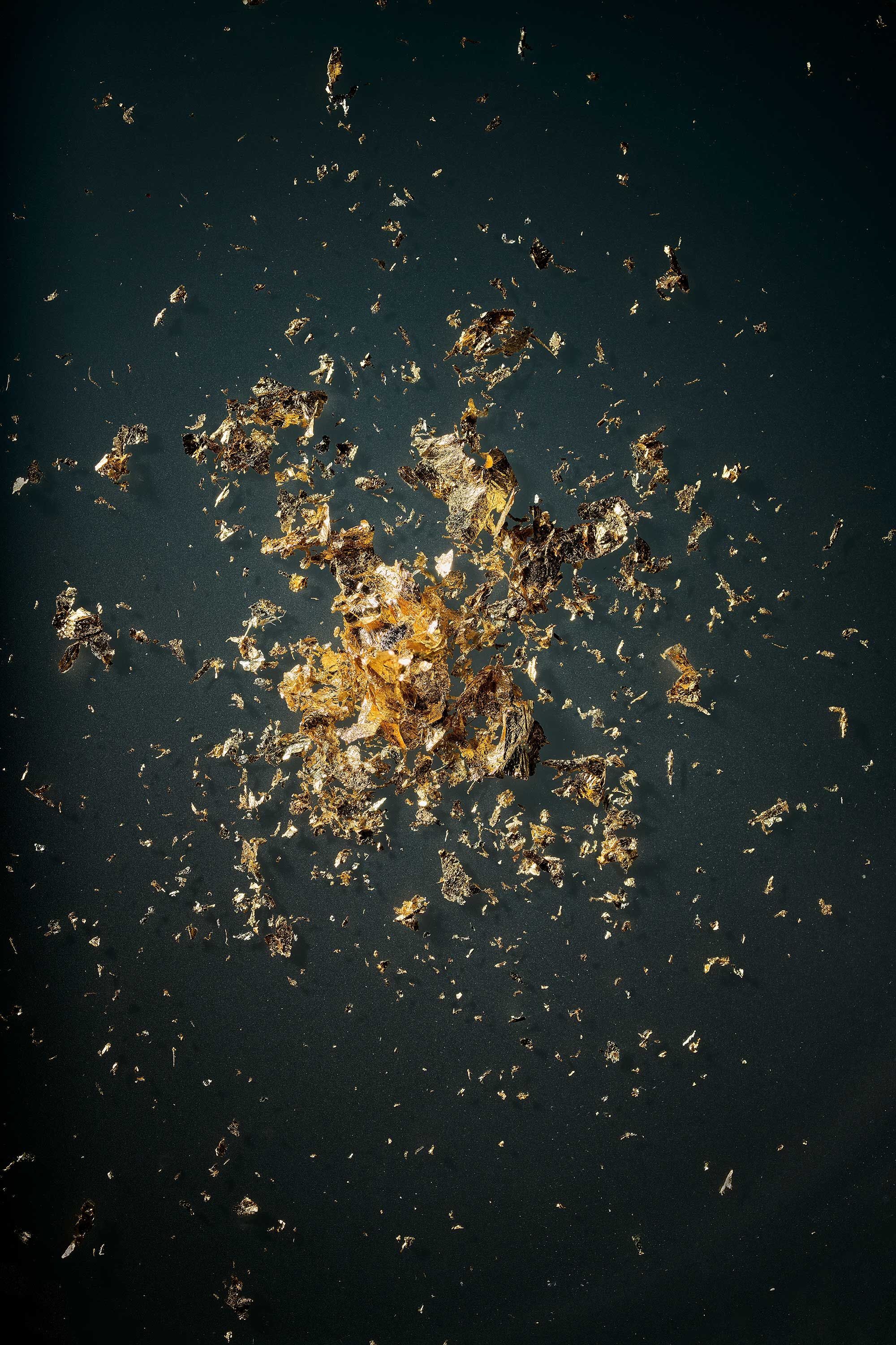 _TRAN_80_Cover_029_web_rgb