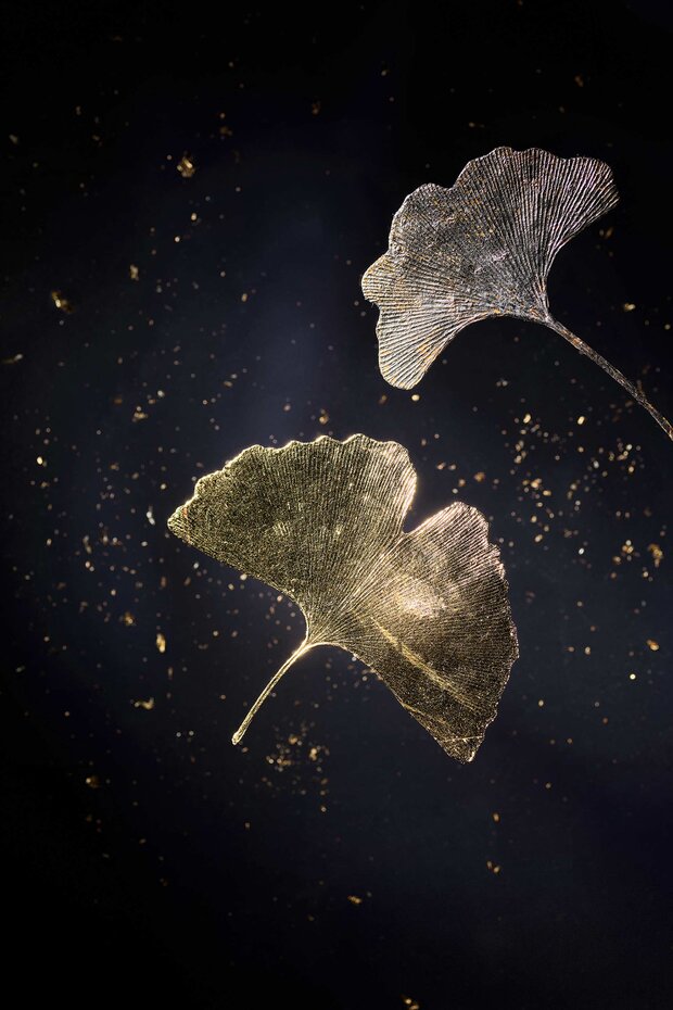 _TRAN_80_Atelier_Felber_Stills_009_rgb