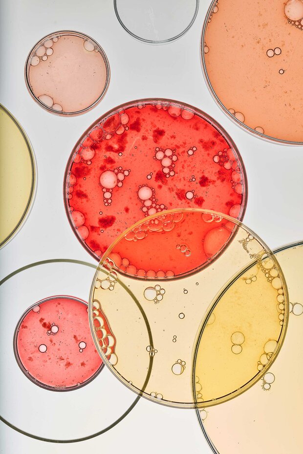 TRAN_Biosirup_Stills_029_rgb