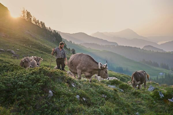 CLAV_03_Alp_Oski_Pfyl_192_rgb