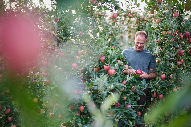 CLAV_02_Fruechtehof_Diethelm_197_rgb