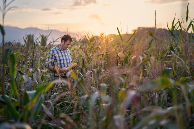 CLAV_05_Linthmais_016_rgb