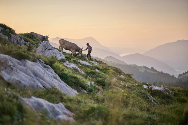 CLAV_03_Alp_Oski_Pfyl_231_rgb