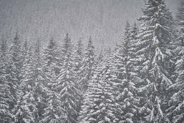 230118_SWIS_SwissWine_Gourmet_Winter_0098