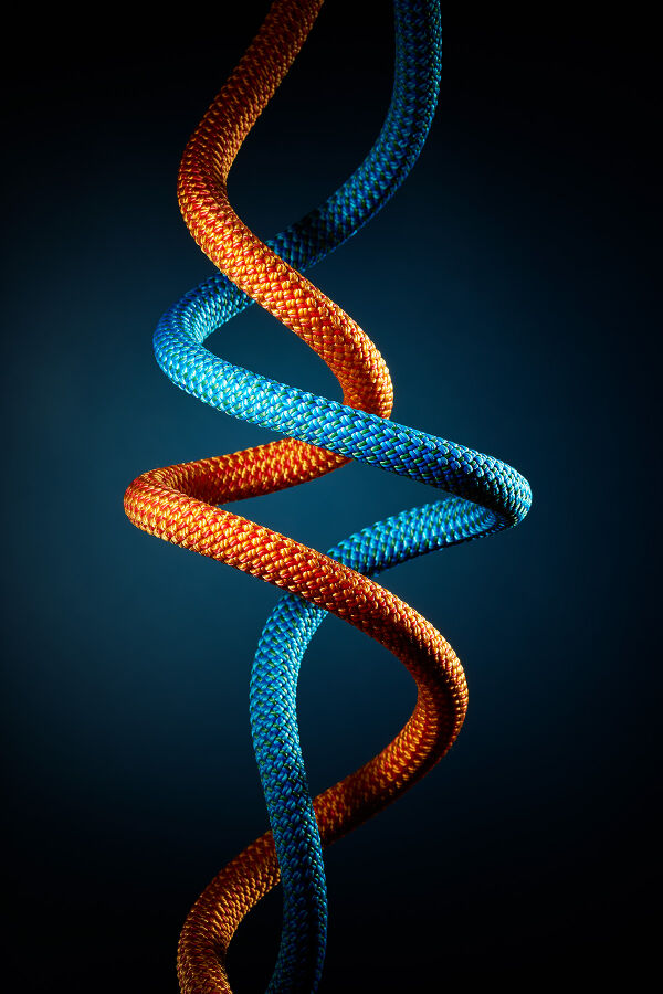 AA_024_01_Januar_Seile_rgb